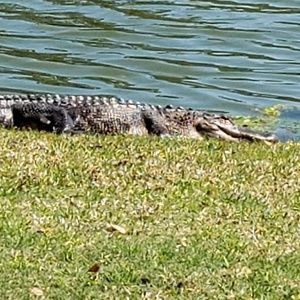 Meet your Posher, Wayne